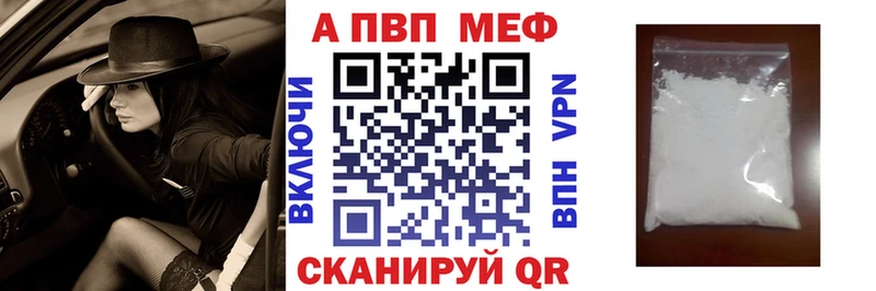 A PVP СК  Новороссийск 