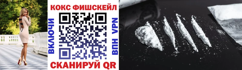 магазин продажи наркотиков  omg маркетплейс  COCAIN Эквадор  Новороссийск 