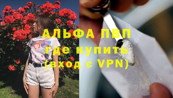 спиды Алзамай
