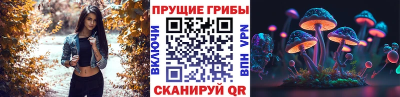 KRAKEN ссылки цены наркотик Новороссийск Псилоцибиновые грибы прущие грибы